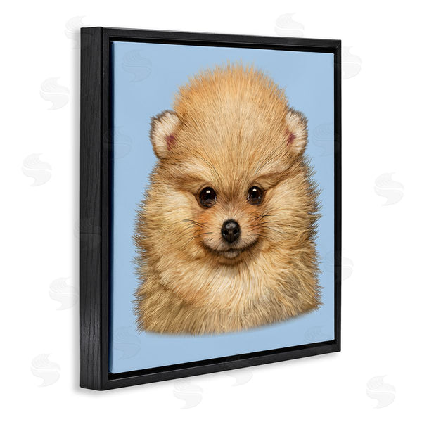 Stupell Industries Vincent Hie | Pomeranian Face On Blue