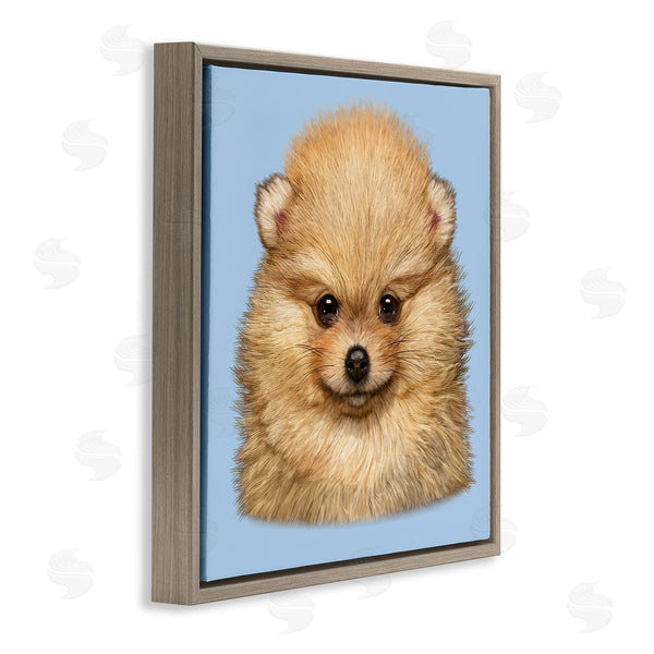 Stupell Industries Vincent Hie | Pomeranian Face On Blue
