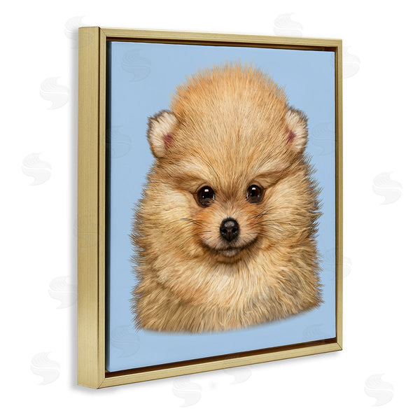 Stupell Industries Vincent Hie | Pomeranian Face On Blue