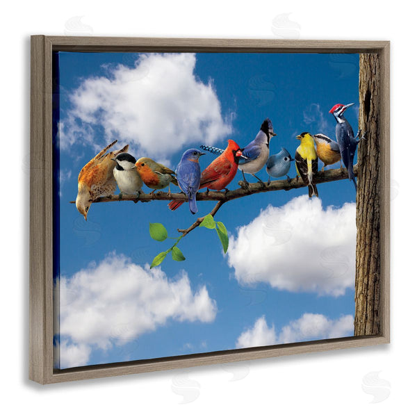 Stupell Industries Vincent Hie | Various Birds On Branch