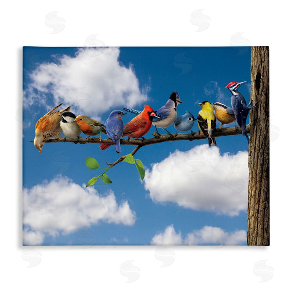 stupell industries Vincent Hie | Various Birds on Branch