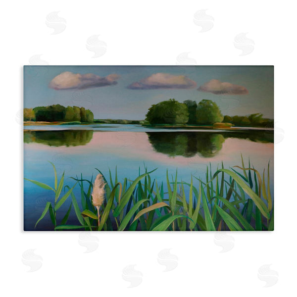 stupell industries Violeta Vollmer | Serene Marsh Reflection