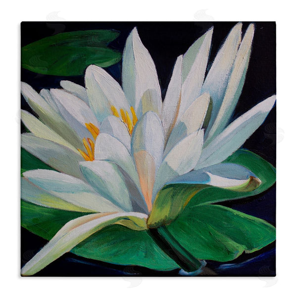 stupell industries Violeta Vollmer | Waterlily Petals on Pond