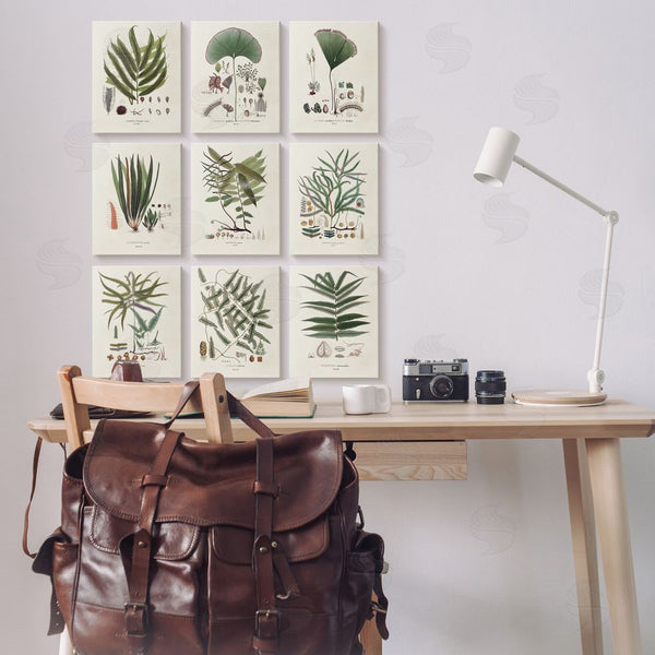 Stupell Industries Vision Studio | Antique Leaves Vintage Studies Wall Art