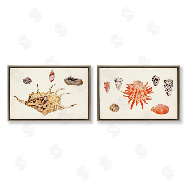 Stupell Industries Vision Studio | Antique Shell Anthology Wall Art