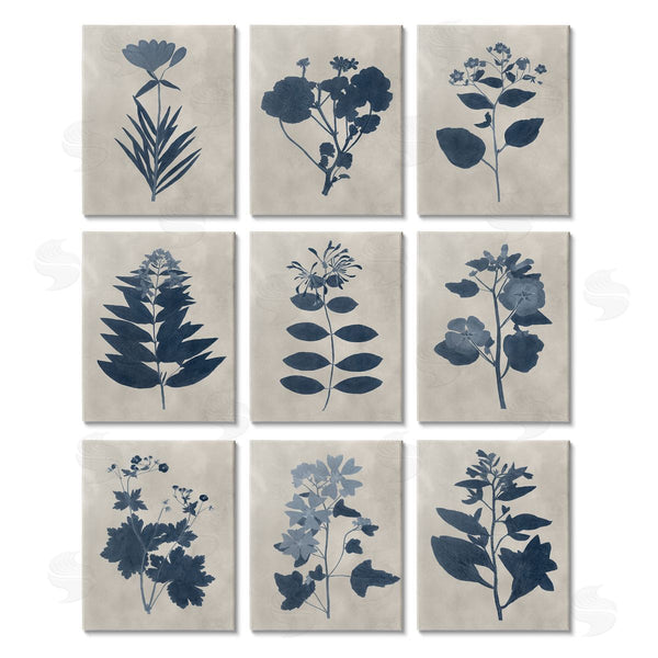 stupell industries Vision Studio | Beautiful Botanical Silhouette Floral Plants Wall Art
