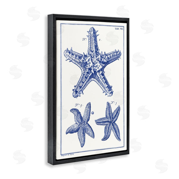 Stupell Industries Vision Studio | Blue Starfish Diagrams Wall Art