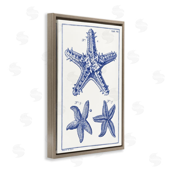 Stupell Industries Vision Studio | Blue Starfish Diagrams Wall Art