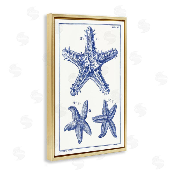 Stupell Industries Vision Studio | Blue Starfish Diagrams Wall Art