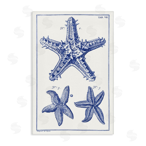 stupell industries Vision Studio | Blue Starfish Diagrams Wall Art