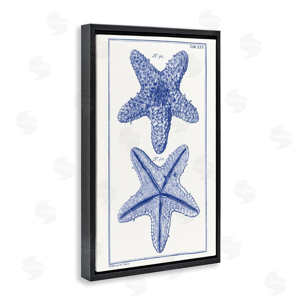 Stupell Industries Vision Studio | Blue Starfish Studies Wall Art