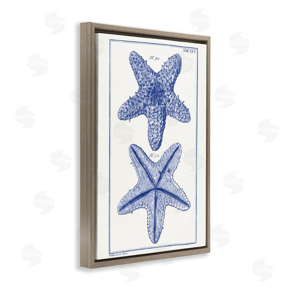 Stupell Industries Vision Studio | Blue Starfish Studies Wall Art