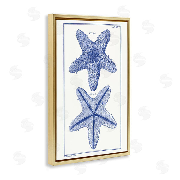 Stupell Industries Vision Studio | Blue Starfish Studies Wall Art