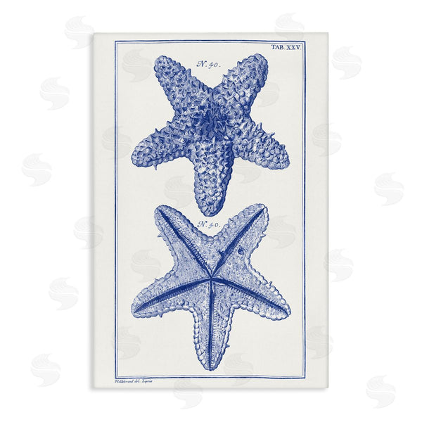 stupell industries Vision Studio | Blue Starfish Studies Wall Art