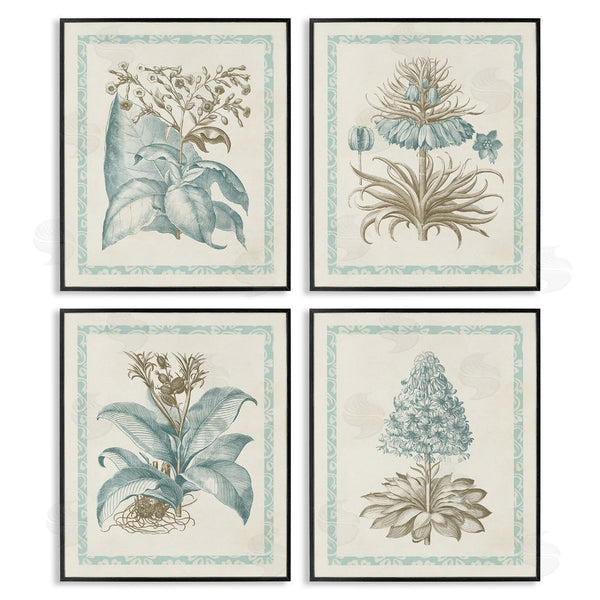 Stupell Industries Vision Studio | Botanical Herb Latin Studies Wall Art