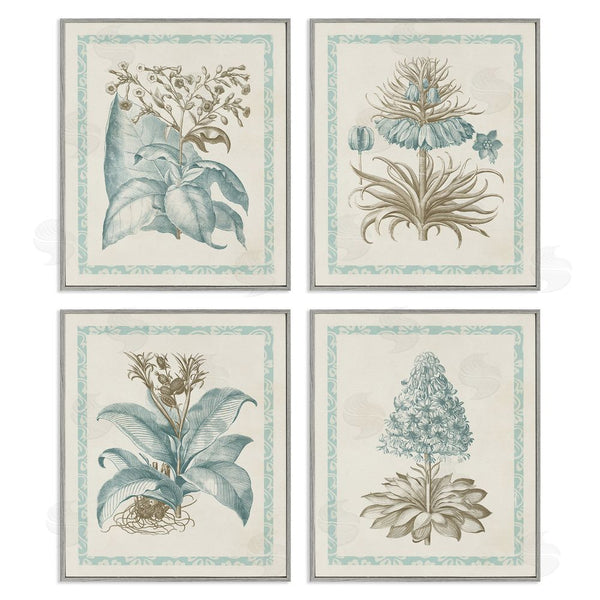 Stupell Industries Vision Studio | Botanical Herb Latin Studies Wall Art