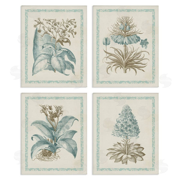 stupell industries Vision Studio | Botanical Herb Latin Studies Wall Art