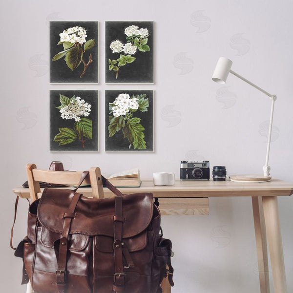 Stupell Industries Vision Studio | Charming Cottage Florals Over Charcoal Grey Wall Art