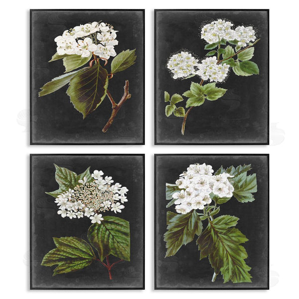 Stupell Industries Vision Studio | Charming Cottage Florals Over Charcoal Grey Wall Art