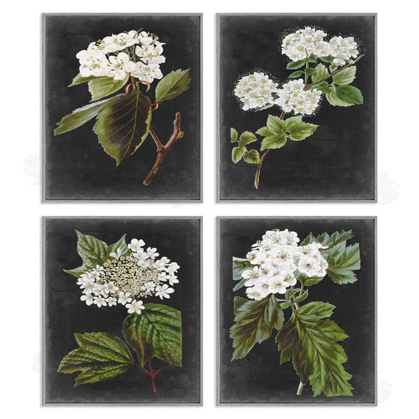 Stupell Industries Vision Studio | Charming Cottage Florals Over Charcoal Grey Wall Art