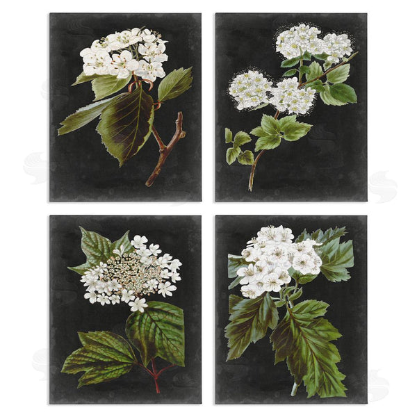 stupell industries Vision Studio | Charming Cottage Florals over Charcoal Grey Wall Art