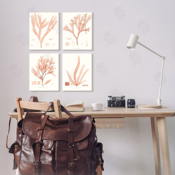 Stupell Industries Vision Studio | Coral Red Seaweed Vintage Scientific Study Wall Art
