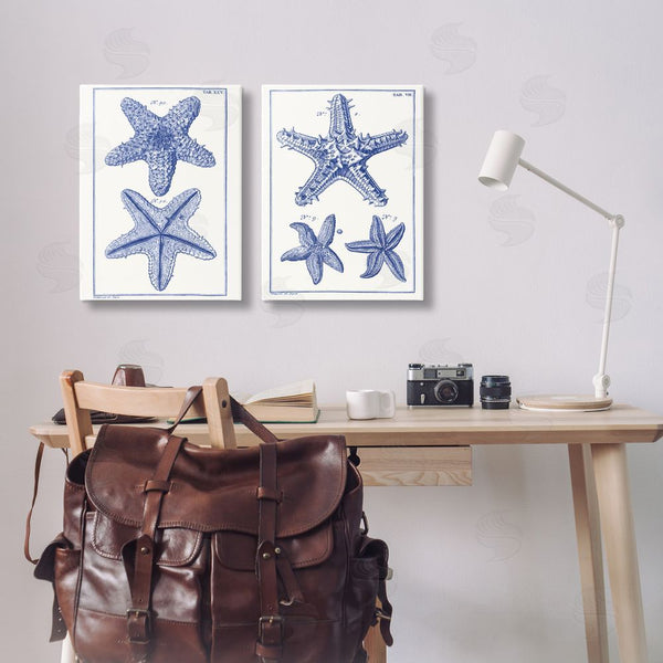 Stupell Industries Vision Studio | Diagram Of A Starfish Wall Art