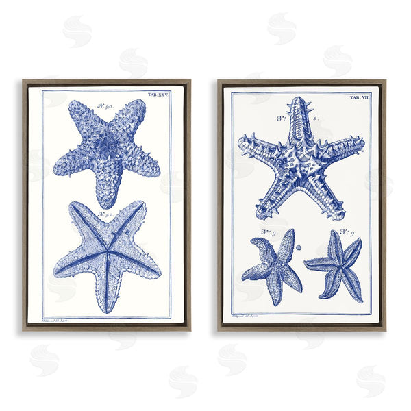 Stupell Industries Vision Studio | Diagram Of A Starfish Wall Art