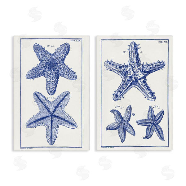 stupell industries Vision Studio | Diagram of a Starfish Wall Art