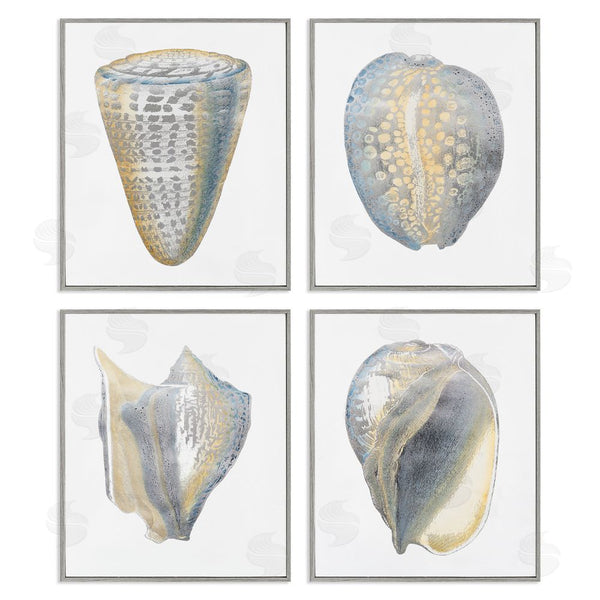 Stupell Industries Vision Studio | Minimal Marine Shells Unique Pattern Wall Art