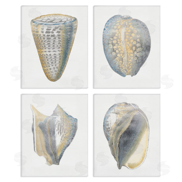 stupell industries Vision Studio | Minimal Marine Shells Unique Pattern Wall Art