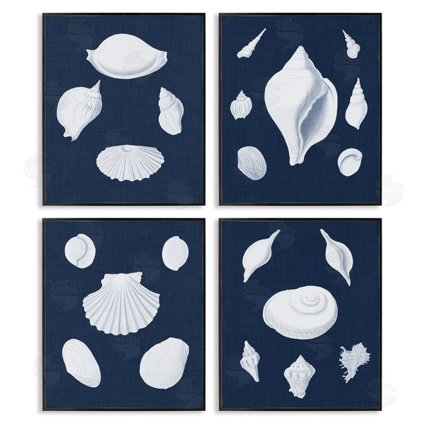 Stupell Industries Vision Studio | Nautical Beach Shells Minimal Deep Blue Wall Art