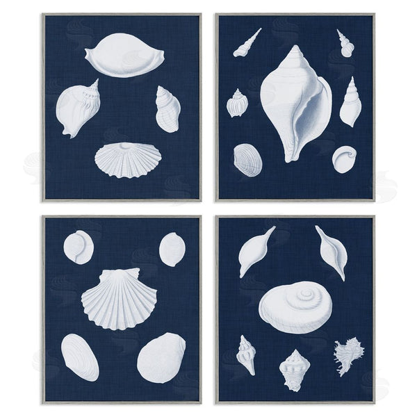Stupell Industries Vision Studio | Nautical Beach Shells Minimal Deep Blue Wall Art