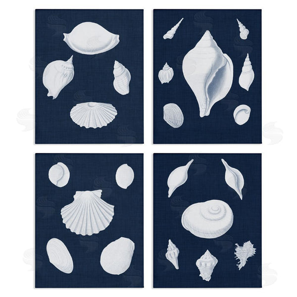 stupell industries Vision Studio | Nautical Beach Shells Minimal Deep Blue Wall Art