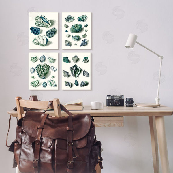 Stupell Industries Vision Studio | Nautical Spiral Conch Shell Collage Wall Art