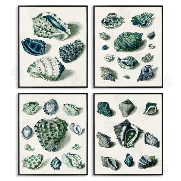 Stupell Industries Vision Studio | Nautical Spiral Conch Shell Collage Wall Art
