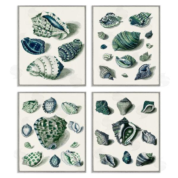 Stupell Industries Vision Studio | Nautical Spiral Conch Shell Collage Wall Art