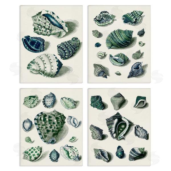 stupell industries Vision Studio | Nautical Spiral Conch Shell Collage Wall Art