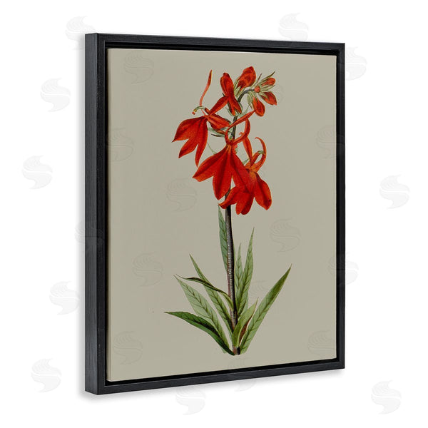 Stupell Industries Vision Studio | Traditional Blossom Study Wall Art