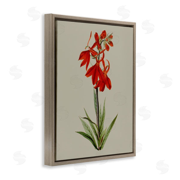 Stupell Industries Vision Studio | Traditional Blossom Study Wall Art