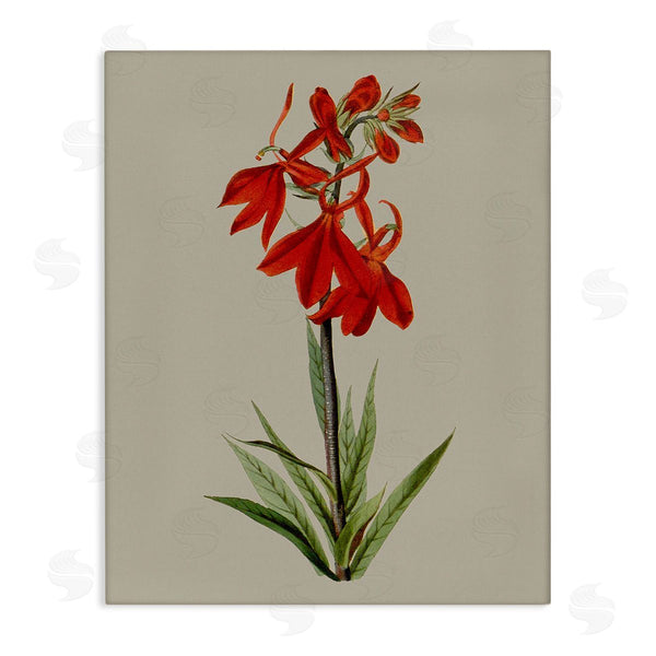 stupell industries Vision Studio | Traditional Blossom Study Wall Art