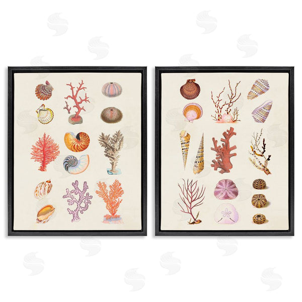 Stupell Industries Vision Studio | Varied Aquatic Sea Life Wall Art