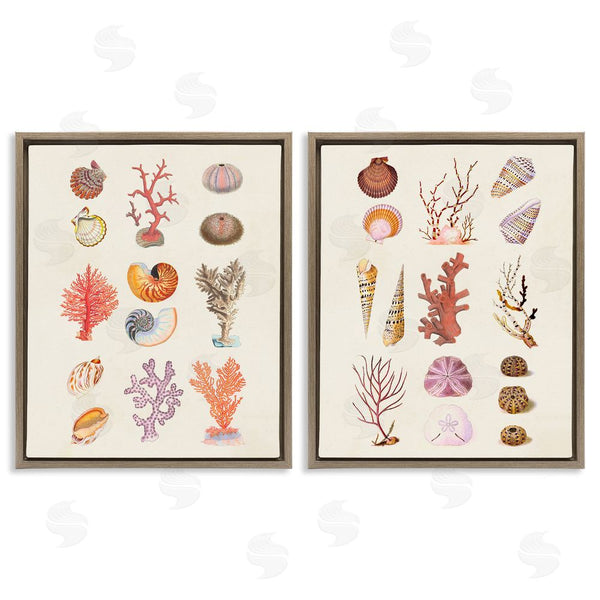 Stupell Industries Vision Studio | Varied Aquatic Sea Life Wall Art