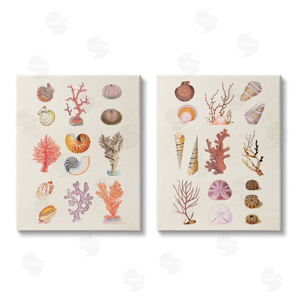 stupell industries Vision Studio | Varied Aquatic Sea Life Wall Art