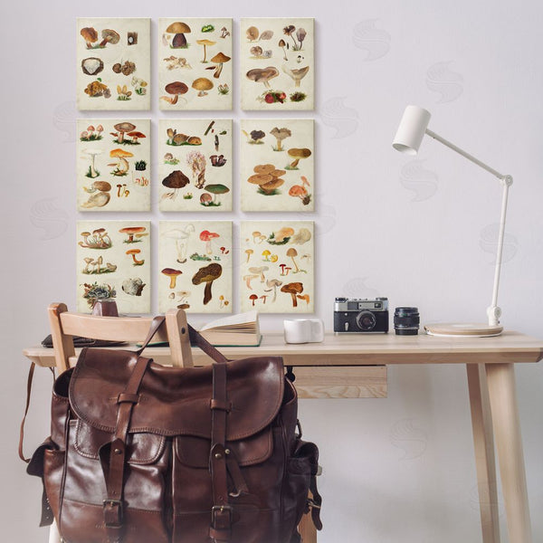 Stupell Industries Vision Studio | Various Rustic Mushrooms Vegetal Nature Wall Art