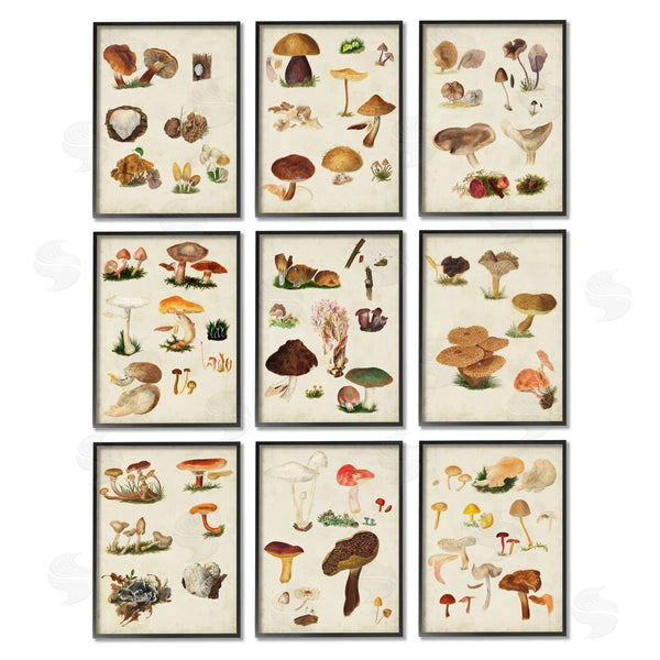 Stupell Industries Vision Studio | Various Rustic Mushrooms Vegetal Nature Wall Art