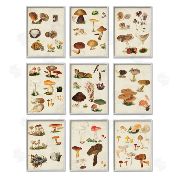 Stupell Industries Vision Studio | Various Rustic Mushrooms Vegetal Nature Wall Art