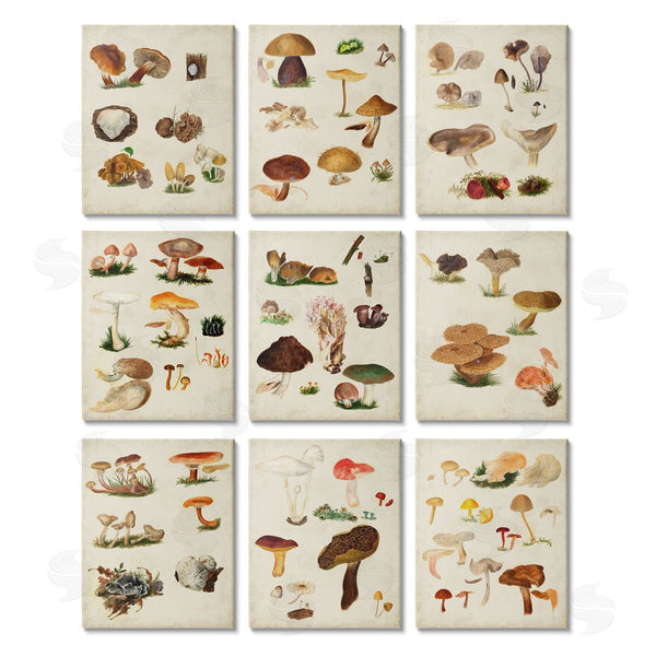 stupell industries Vision Studio | Various Rustic Mushrooms Vegetal Nature Wall Art