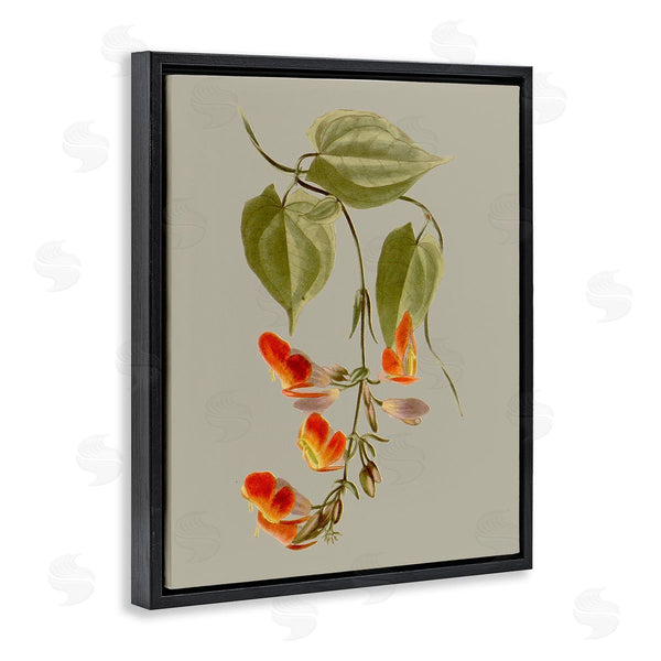 Stupell Industries Vision Studio | Vine With Red Blossoms Wall Art