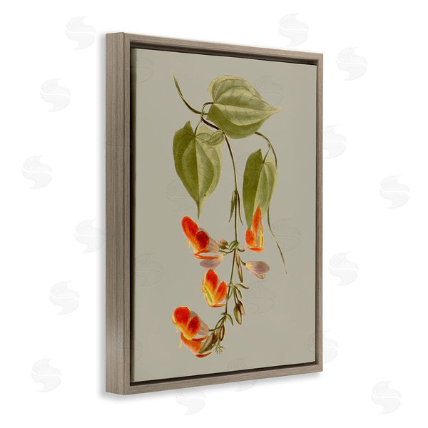 Stupell Industries Vision Studio | Vine With Red Blossoms Wall Art